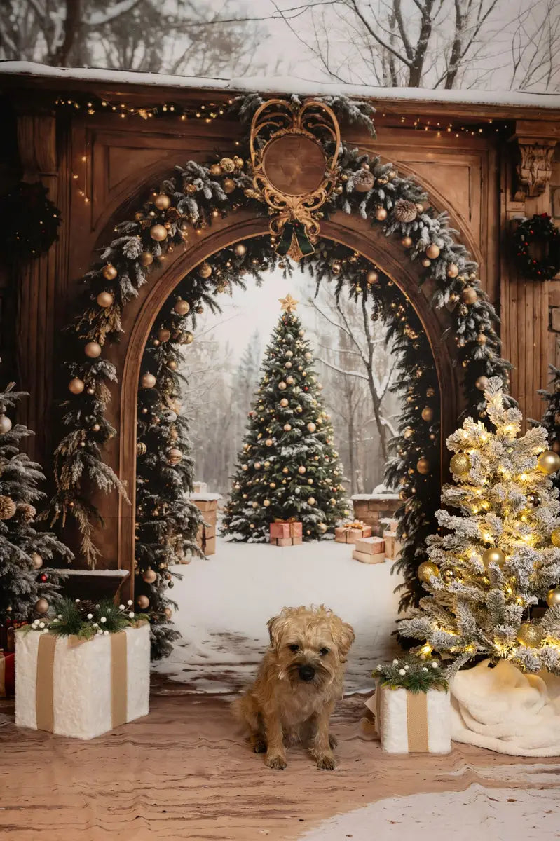 Kate Christmas Tree Retro Archway Backdrop Designed by Emetselch