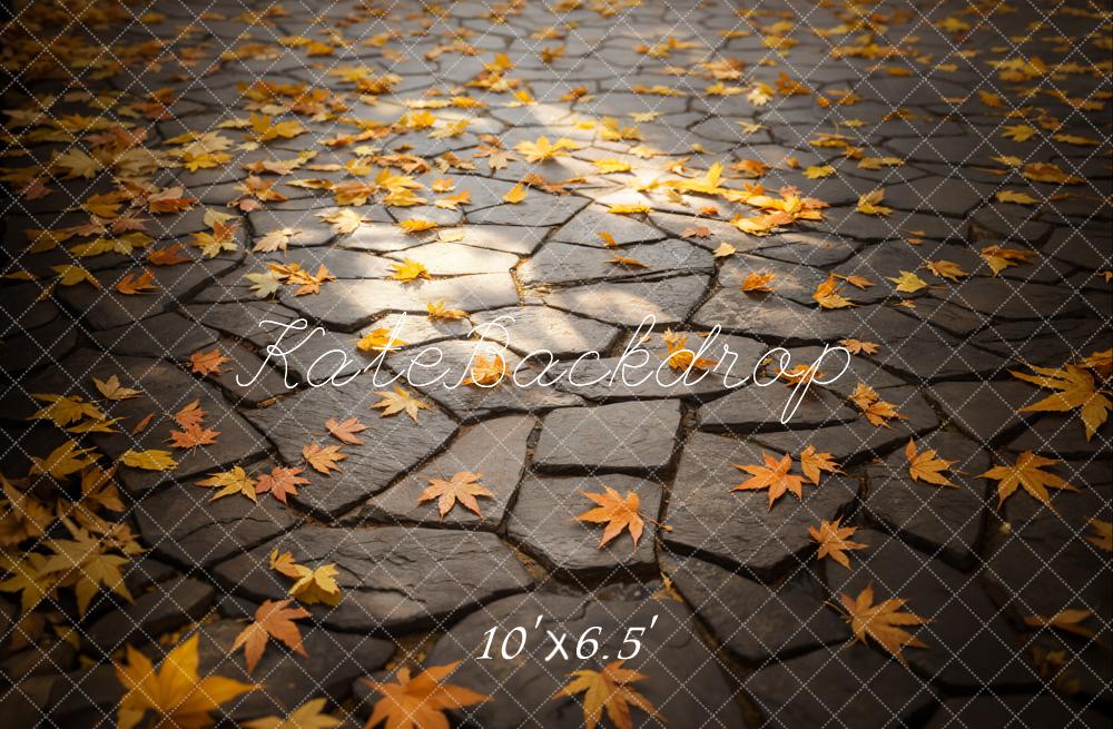 Kate Fall Leaves Stone Path Floor Backdrop Designed by Emetselch