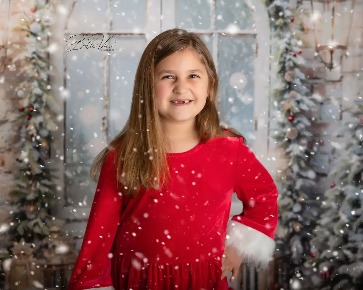 Kate Christmas Snow Tree Door Fleece Backdrop Designed by Emetselch