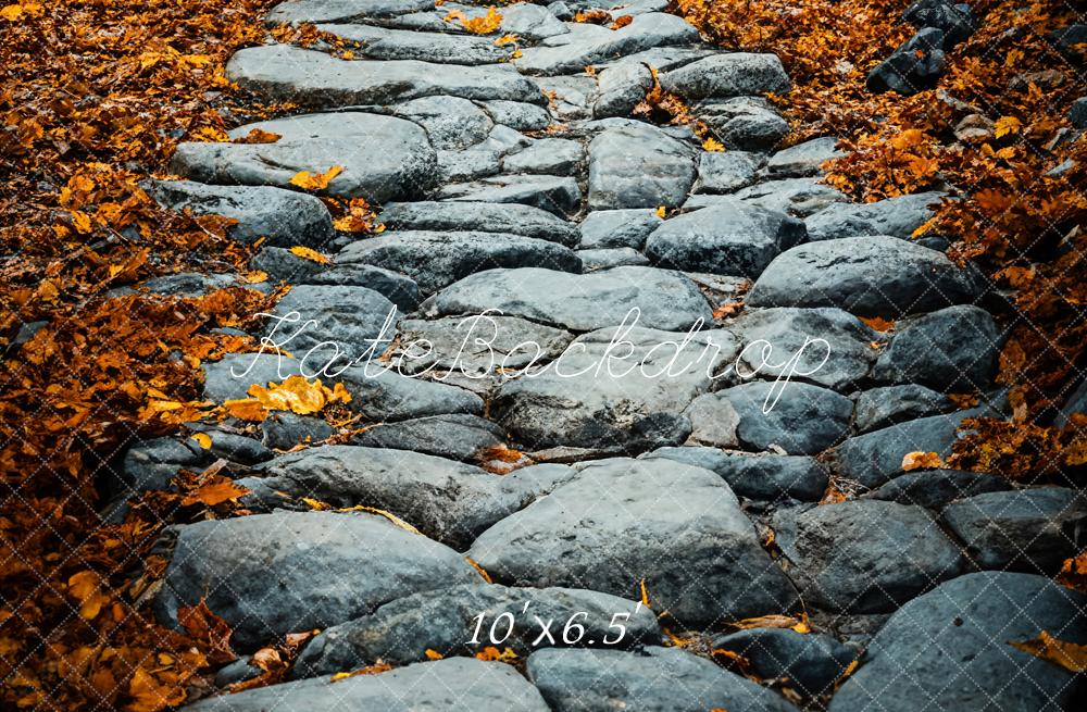 Kate Fall Cobblestone Path Backdrop Designed by Emetselch