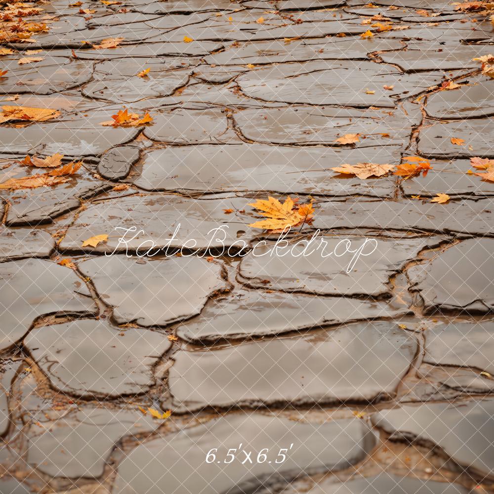 Kate Fall Leaves and Gray Cobblestone Road Floor Backdrop Designed by Emetselch