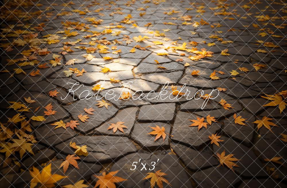 Kate Fall Leaves Stone Path Floor Backdrop Designed by Emetselch