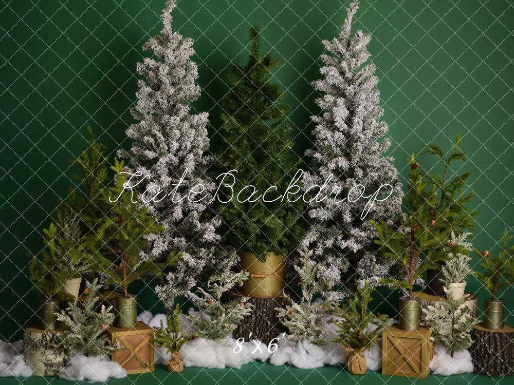 Winter Wonderland Kerstbomen Foto Achtergrond Designed by Mandy Ringe Photography