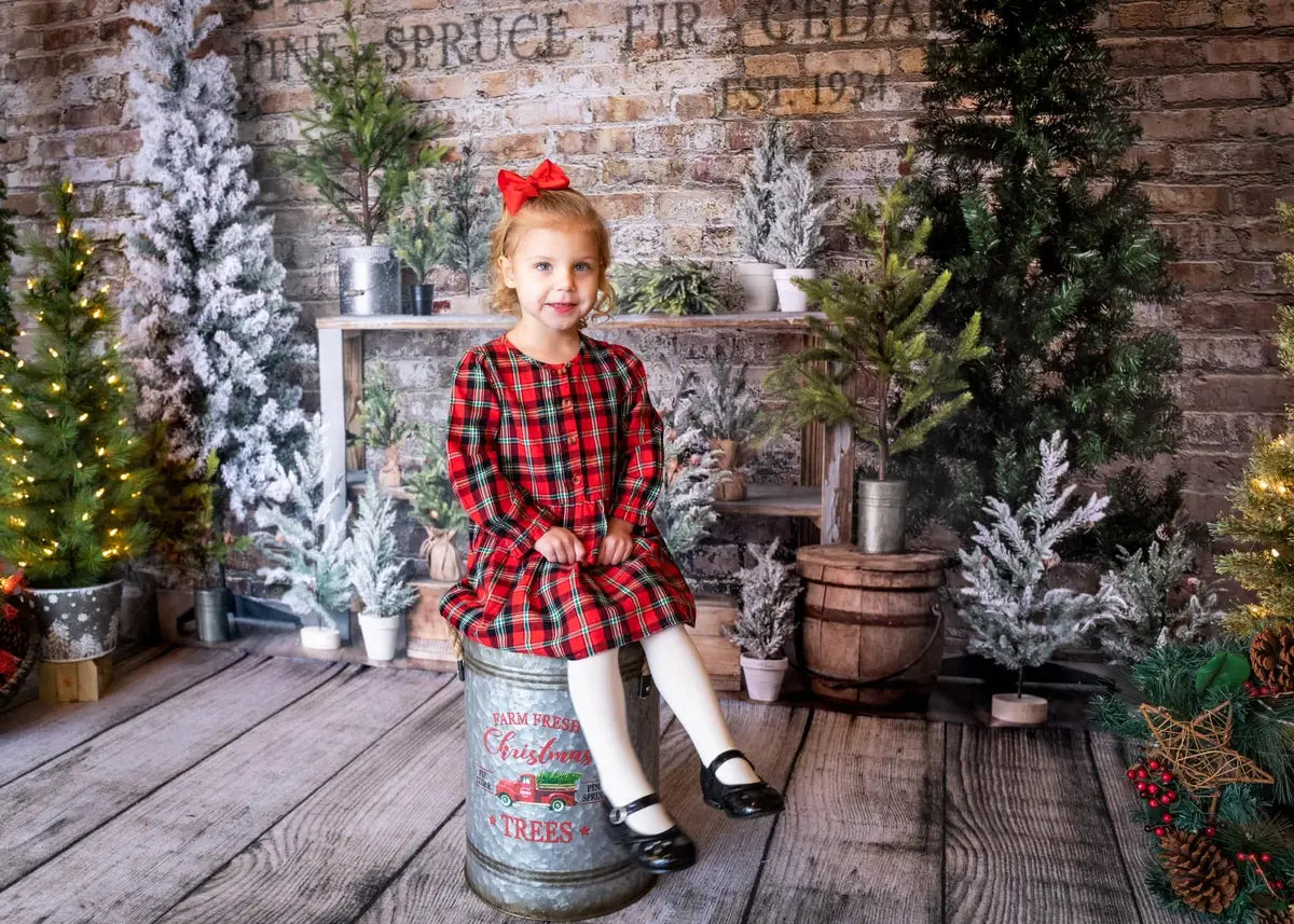 Kate Christmas Farm Fresh Tree Backdrop Designed by Mandy Ringe Photography