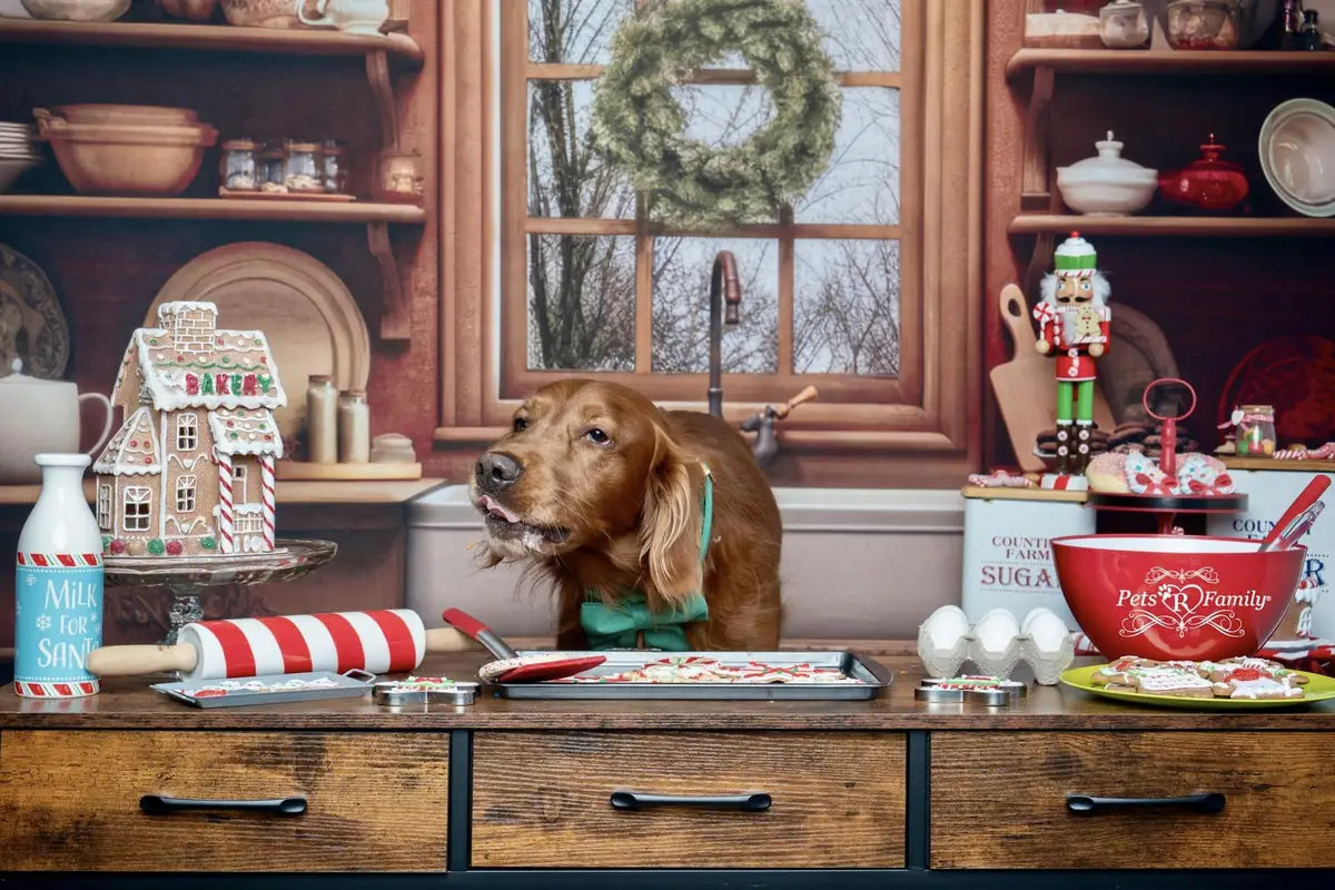 Kate Cozy Christmas Kitchen Backdrop Designed by Mandy Ringe Photography