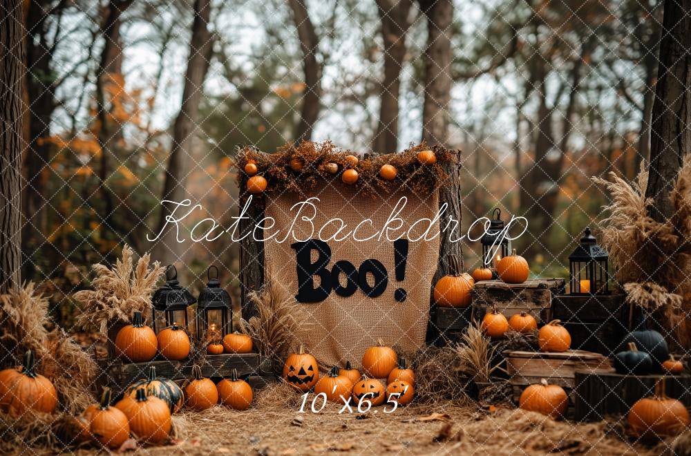 Boho Halloween Bos Pompoenen Foto Achtergrond Designed by Patty Roberts