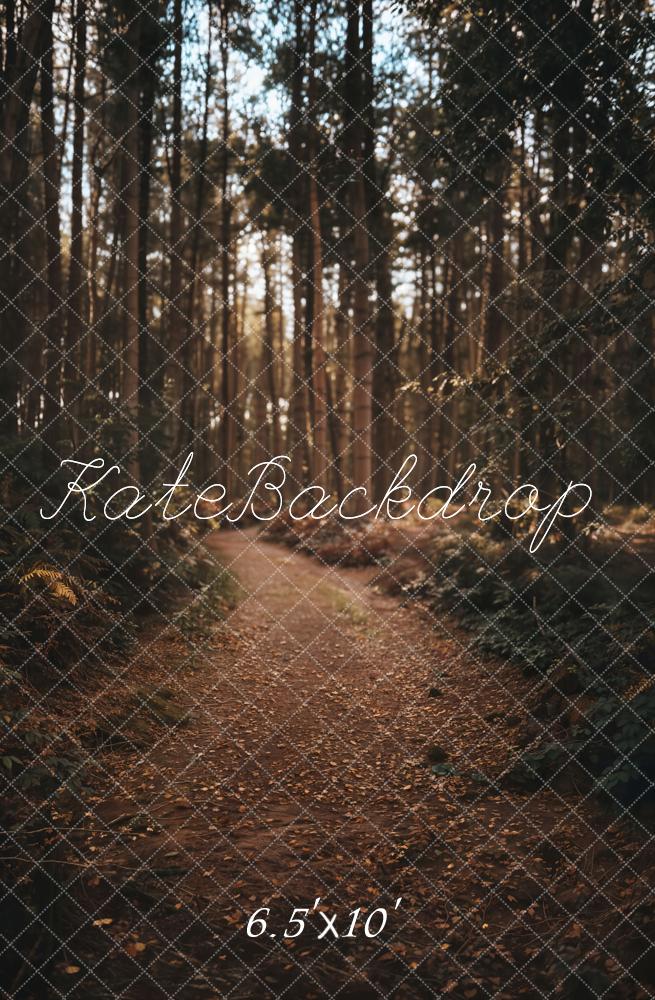 Kate Forest Path Backdrop Designed by Emetselch