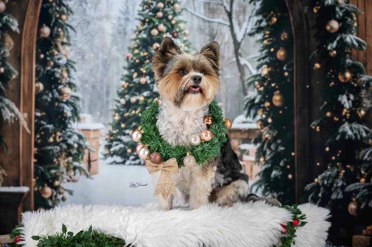 Kate Christmas Tree Retro Archway Backdrop Designed by Emetselch