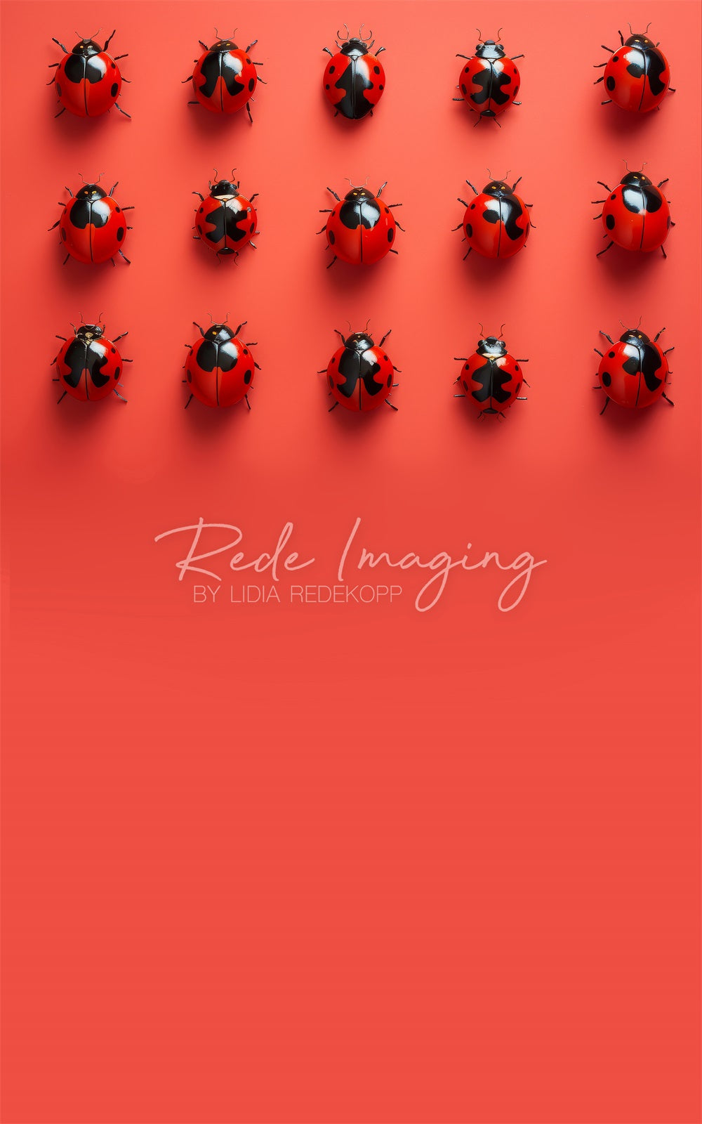 Kate Sweep Nature Red Ladybugs Backdrop Designed by Lidia Redekopp