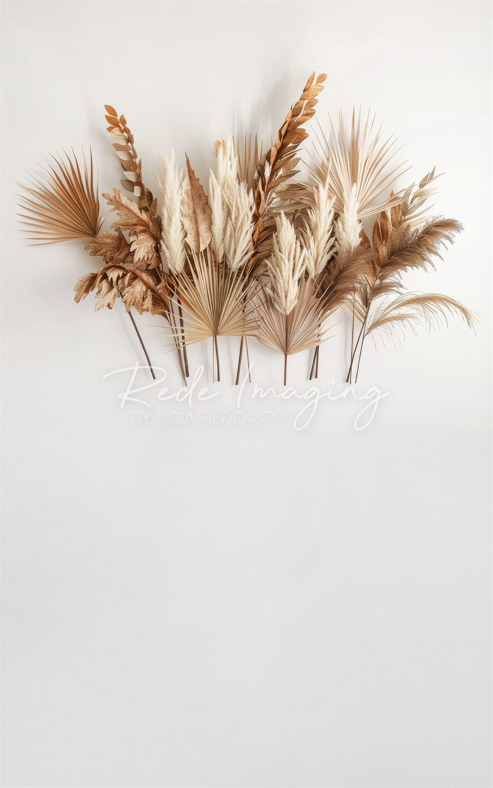 Sfondo bianco con foglie di canna boho marrone progettato da Lidia Redekopp