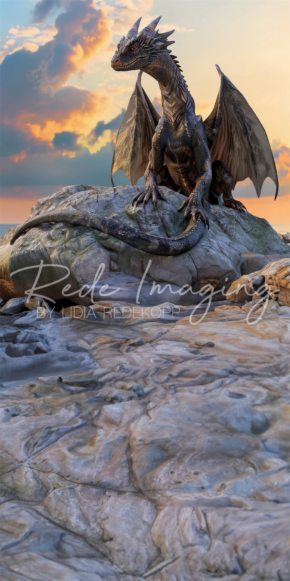 Kate Fantasy Fairy Tale Black Magic Dragon Backdrop Designed by Lidia Redekopp