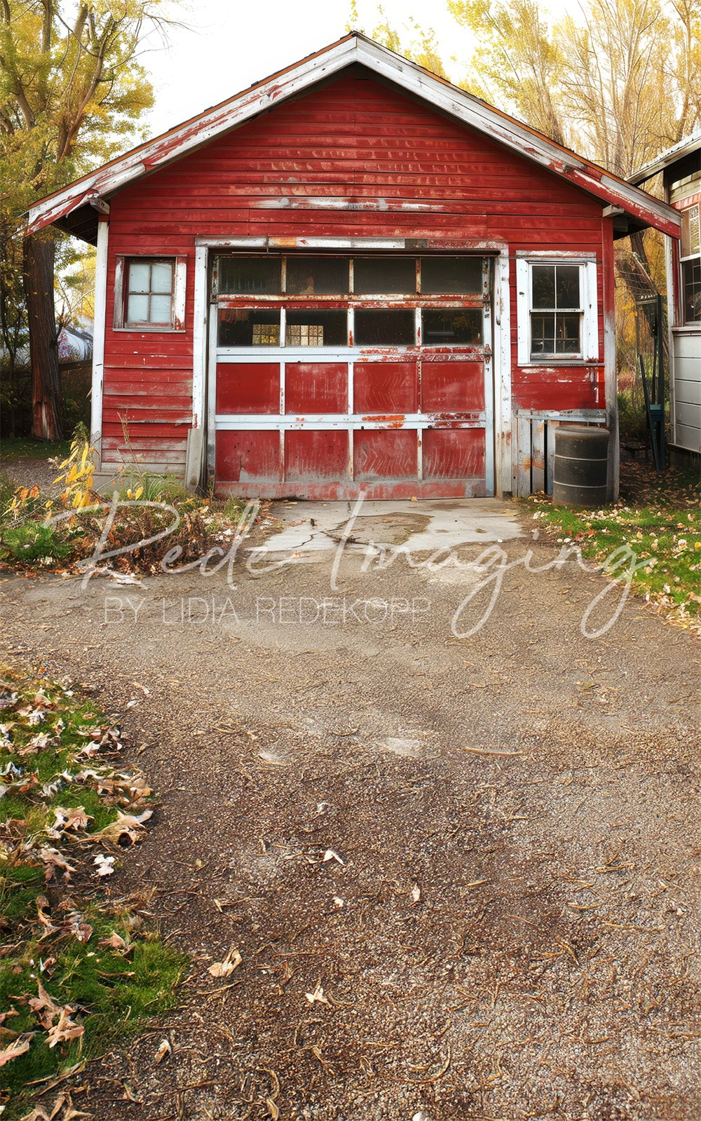 Scena autunnale all'aperto nella vecchia foresta con garage rosso di Lidia Redekopp