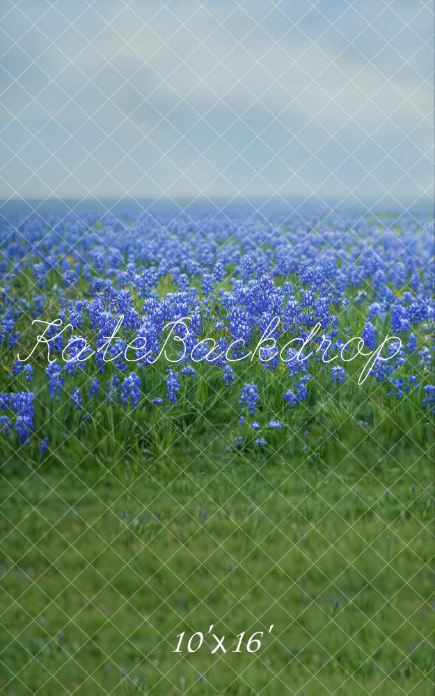 Kate Sweep Spring Floral Bluebonnet Meadow Backdrop Designed by Emetselch