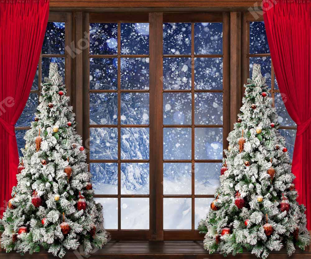 RTS Christmas Winter Snow Window Backdrop Progettato da Chain Photography
