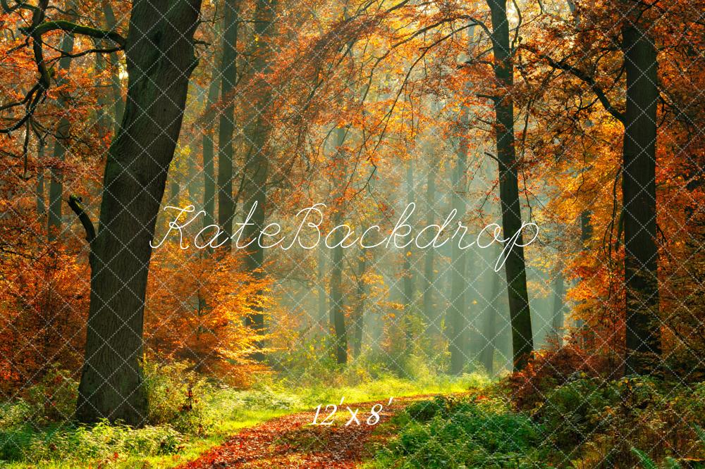 Kate Autumn Forest With Maple And Green Grass for Photography