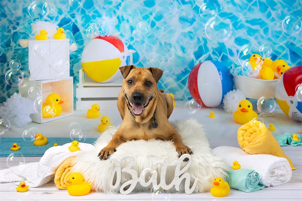 Kate Pet Summer Swimming Water Wave Backdrop for Photography