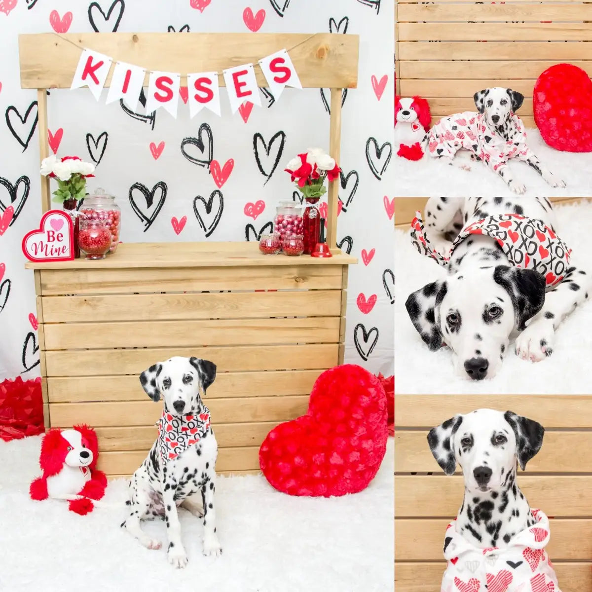 Kate Pet Valentine's Day Backdrop White for Photography