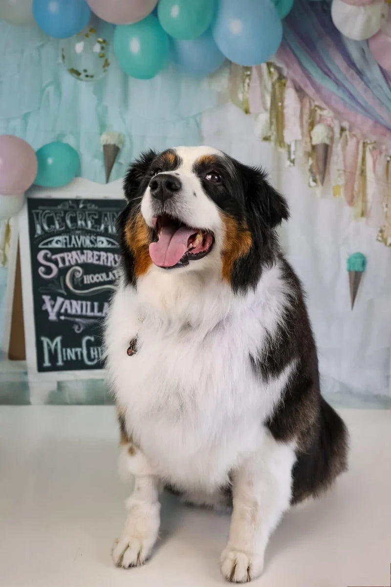 Kate Pastel Ice Cream Backdrop Party Summer Designed by Mandy Ringe Photography