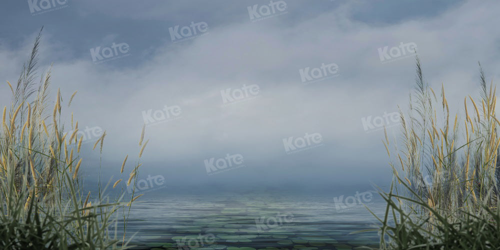 Zomerachtergrond met riet en bewolkte lucht bij het meer voor fotografie