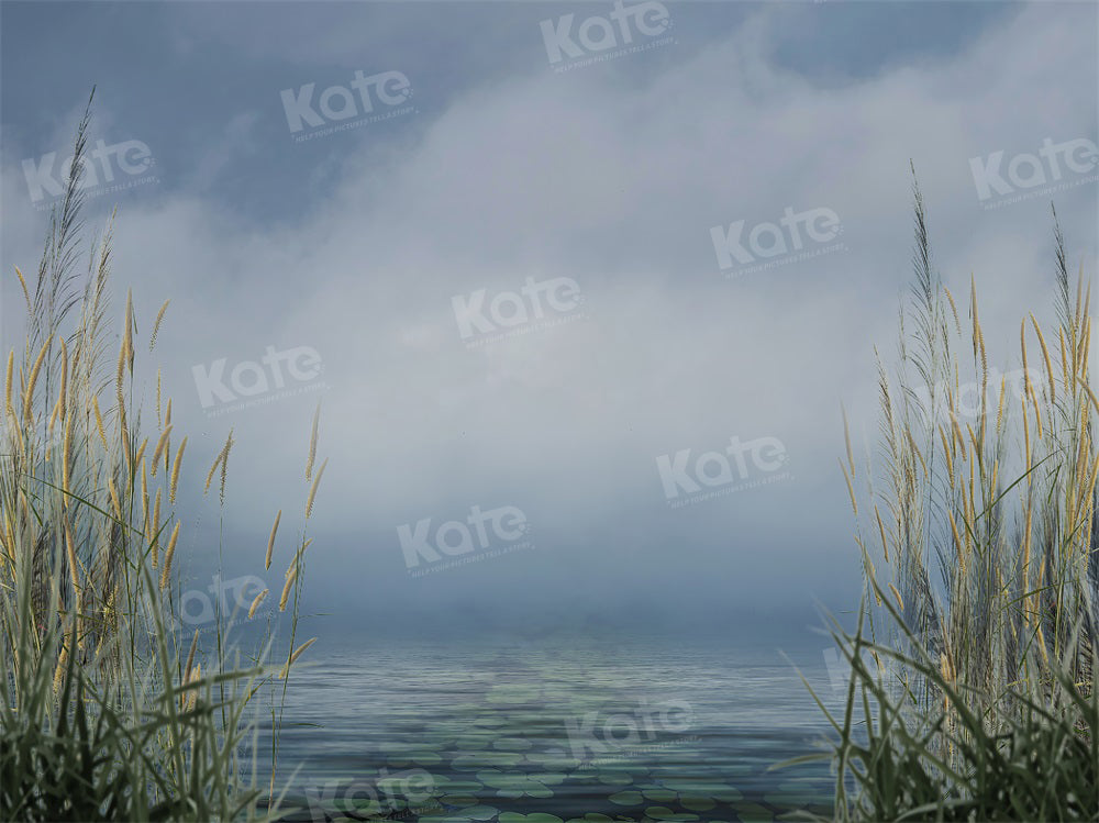 Zomerachtergrond met riet en bewolkte lucht bij het meer voor fotografie