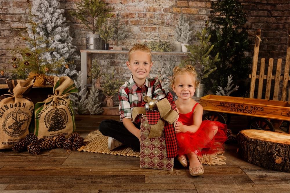 Kate Simple Christmas Tree Stand Backdrop Designed by Mandy Ringe Photography