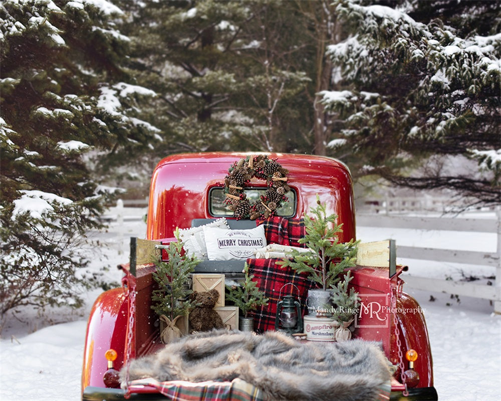 Camion rosso di Natale su sfondo innevato in RTS progettato da Mandy Ringe Photography
