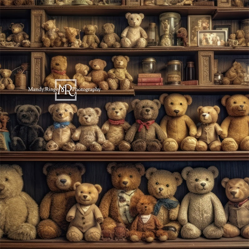 Kate Teddy Bear Shelves Backdrop Designed by Mandy Ringe Photography