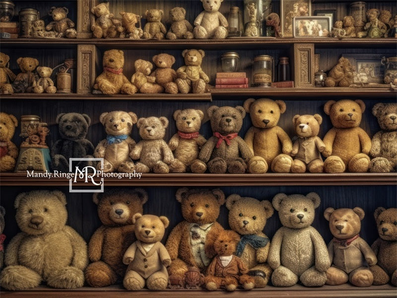 Kate Teddy Bear Shelves Backdrop Designed by Mandy Ringe Photography