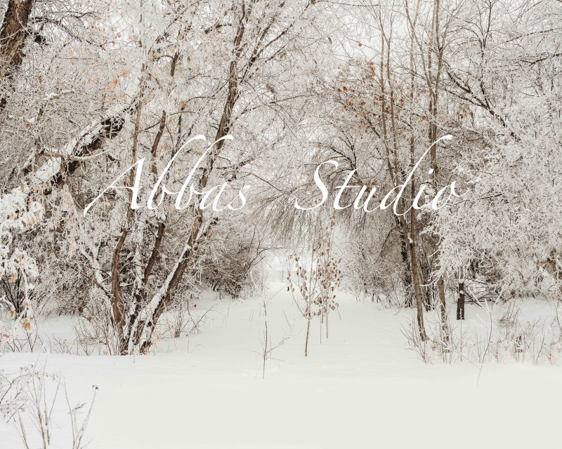 Kate Christmas Winter Outdoor Birch Backdrop Designed by Abbas Studio