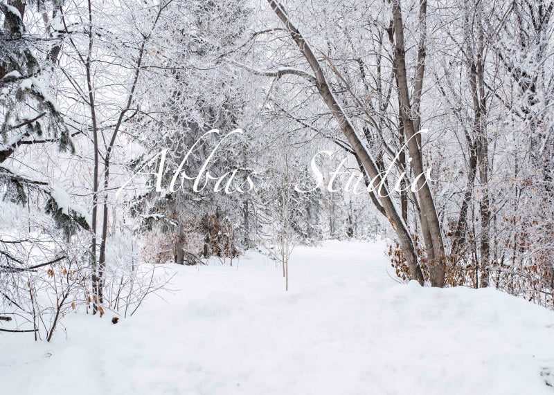 Kate White Winter Birch Tree Path Backdrop Designed by Abbas Studio