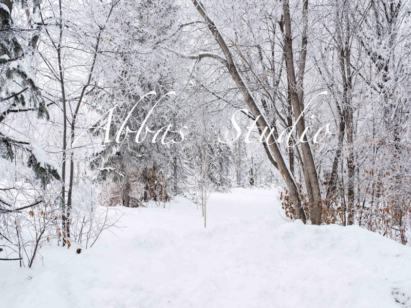 Kate White Winter Birch Tree Path Backdrop Designed by Abbas Studio