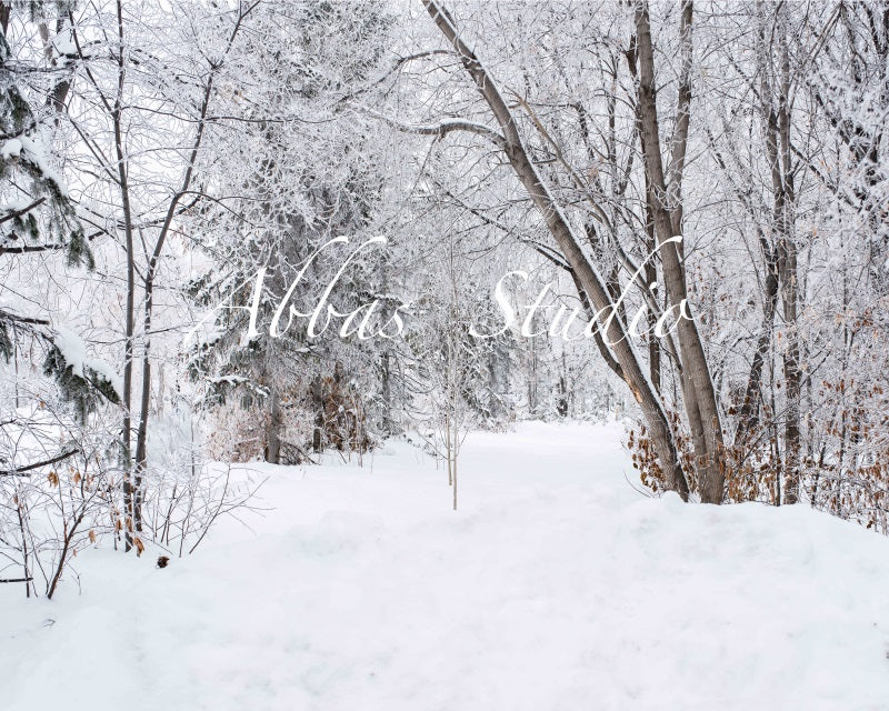 Kate White Winter Birch Tree Path Backdrop Designed by Abbas Studio