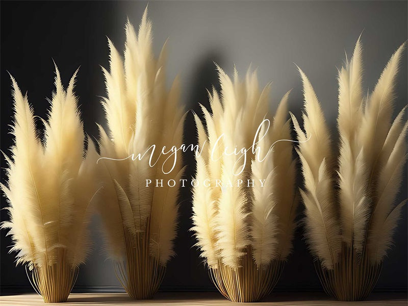 Whimsical Pampas Foto Achtergrond Ontworpen door Megan Leigh Fotografie