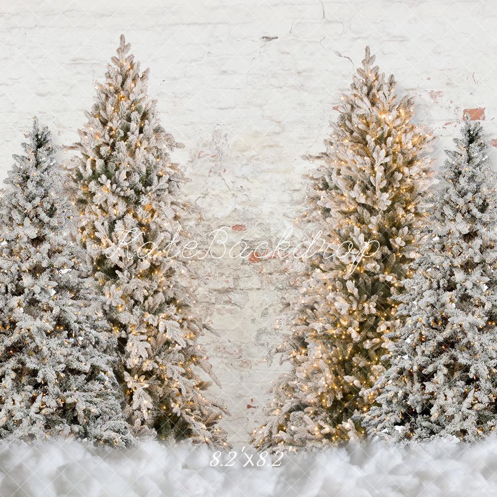 Árboles de Navidad en un jardín nevado, panel de fondo para fotografía