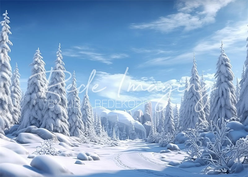 Kate Winter Frost Wonderland Backdrop Designed by Lidia Redekopp