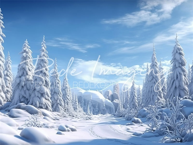 Kate Winter Frost Wonderland Backdrop Designed by Lidia Redekopp