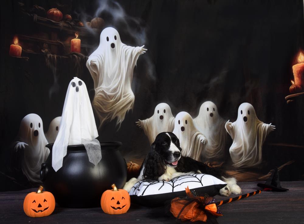 Spookachtige Halloween Geesten Foto Achtergrond Ontworpen door Patty Robert