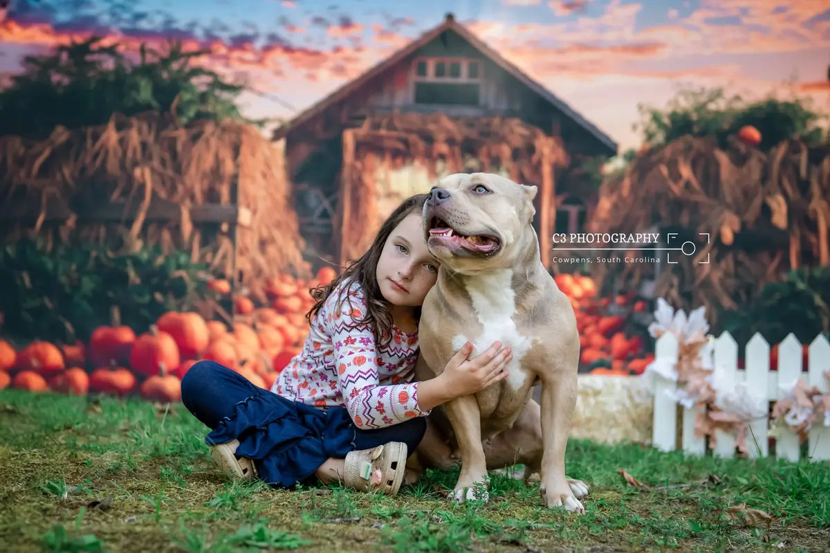 Fondo de granja de calabazas de otoño para fotografía