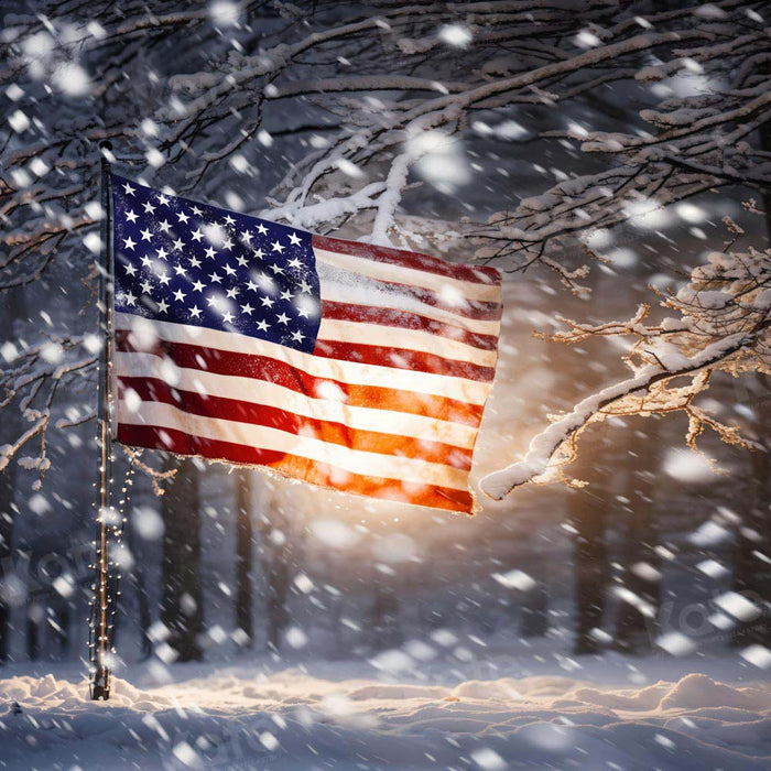 Kate Winter American Flag in Snow Backdrop Designed by Chain Photograp