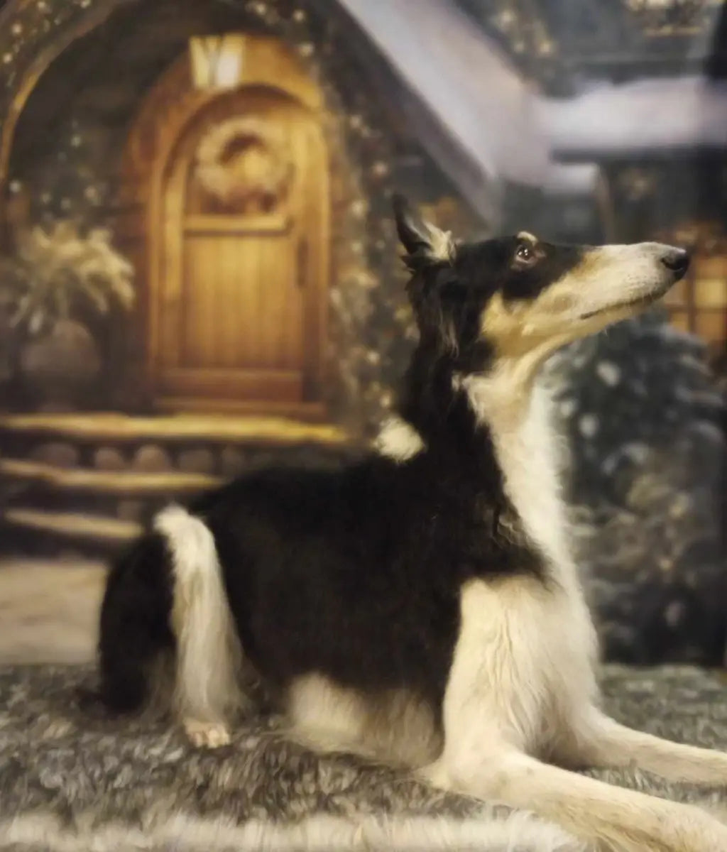 Kate Pet Christmas Wooden House with Snow Backdrop Designed by Chain Photography