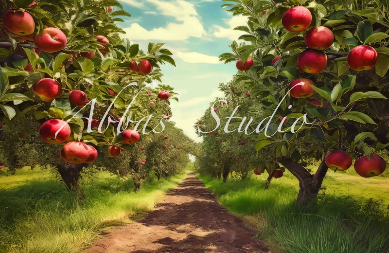 Kate Apple Tree Path Backdrop Designed by Abbas Studio