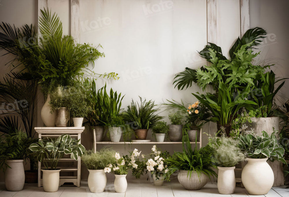 Fondo Verde de Pared Blanca para Fotografía con Plantas