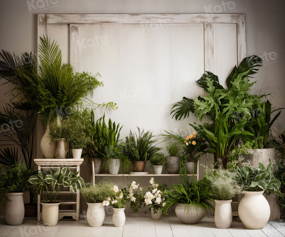 Fondo Verde de Pared Blanca para Fotografía con Plantas