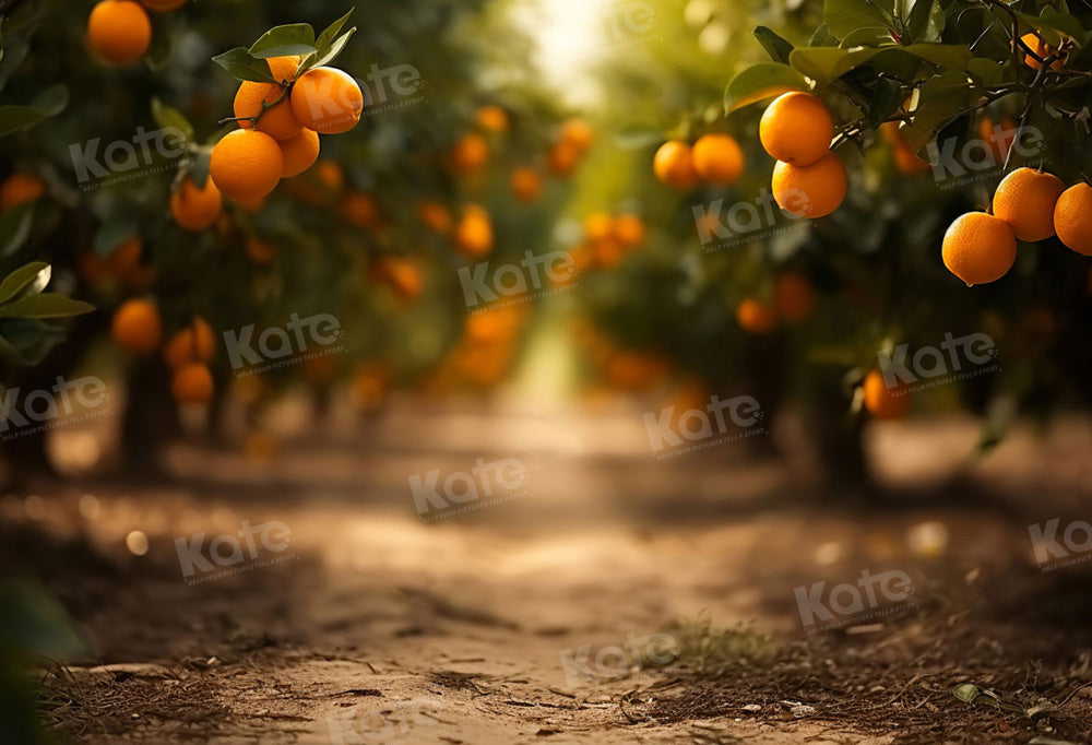 Herfst Oranje Boomgaardenpad Foto Achtergrond Ontworpen door Chain Photography