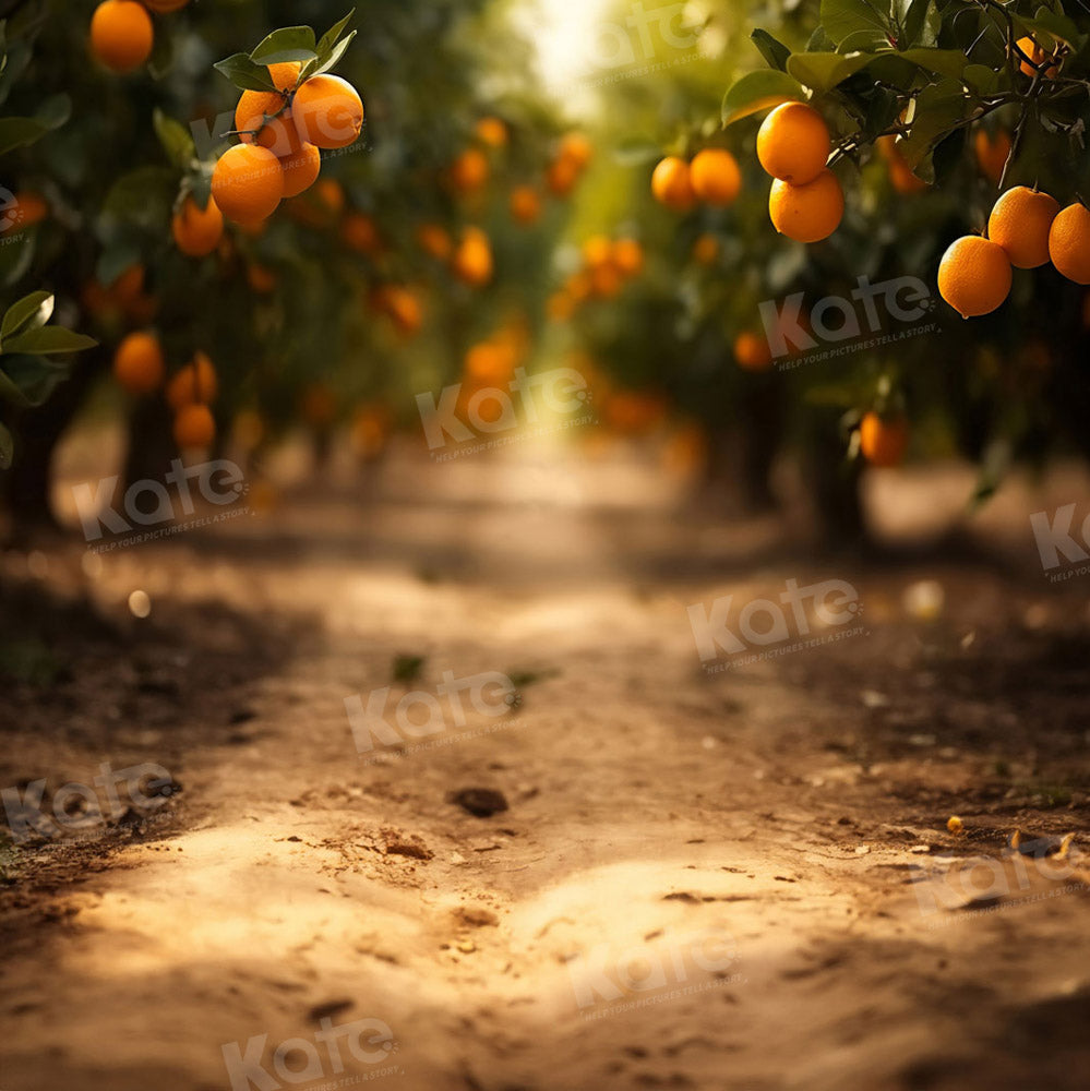 Herfst Oranje Boomgaardenpad Foto Achtergrond Ontworpen door Chain Photography