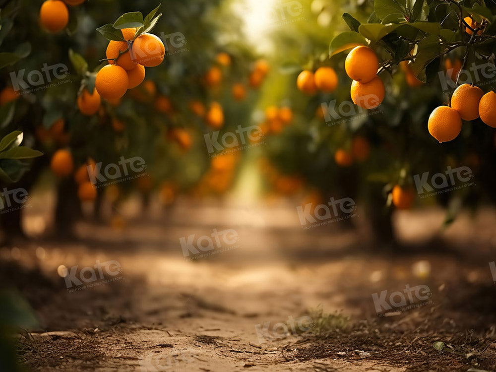 Herfst Oranje Boomgaardenpad Foto Achtergrond Ontworpen door Chain Photography