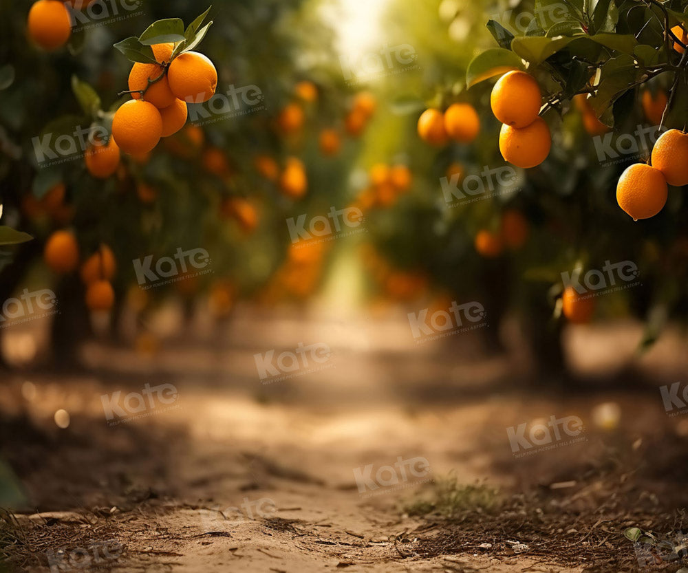 Fondo de sendero de huerto de naranjas de otoño diseñado por Chain Photography