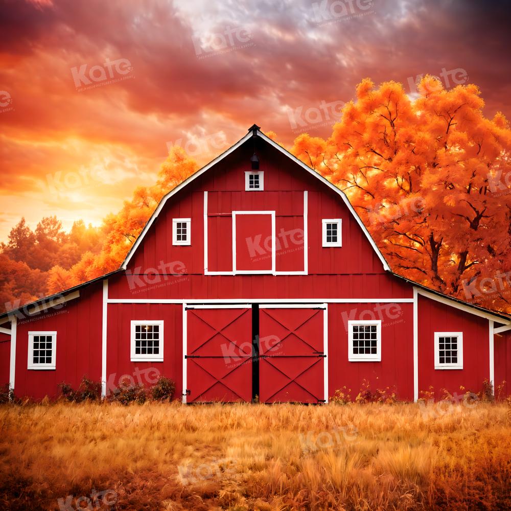 Autunno Rosso Casa Foglia d'Acero Prato Sfondo per Fotografia