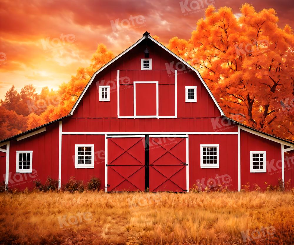 Herfst Rood Huis Esdoornblad Weide Achtergrond voor Fotografie