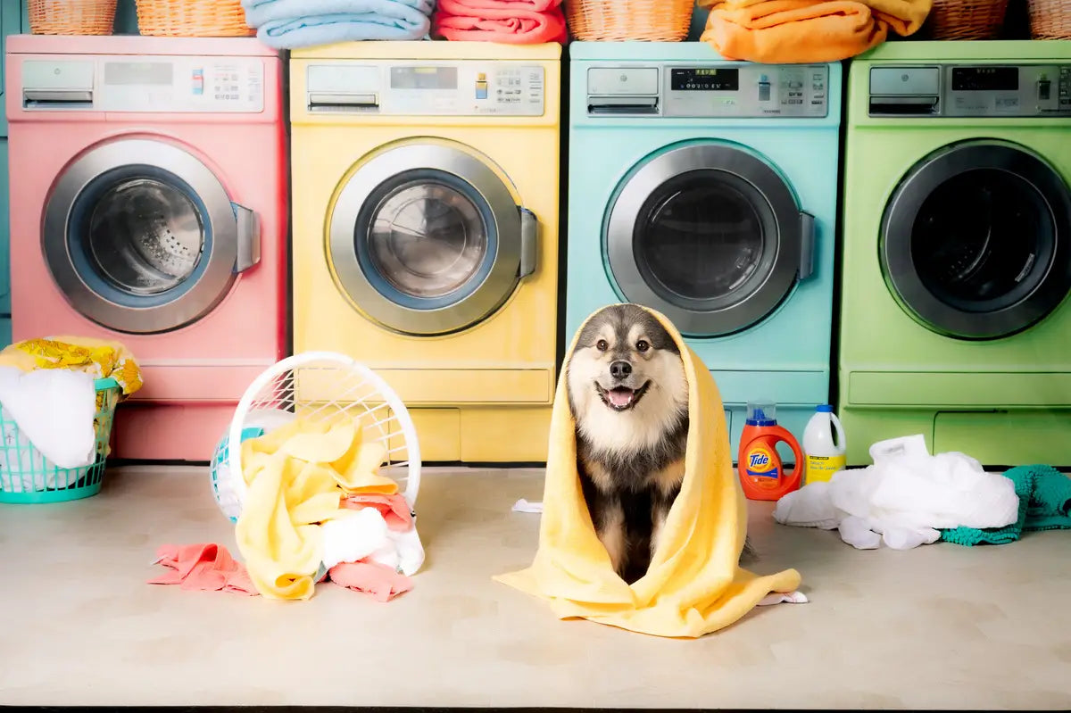 Wasdag Kleurrijke Wasmachine Voorjaarsfleecestof Achtergrond Ontworpen door Chain Photography